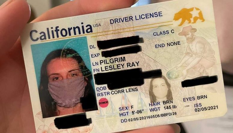 Massachusetts Id Vs Fak